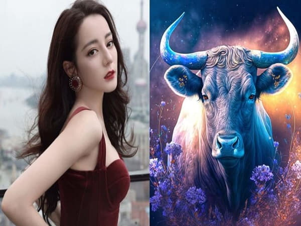 Kim Ngưu là 1 cung hoàng đạo nữ vừa thông minh vừa khéo tay