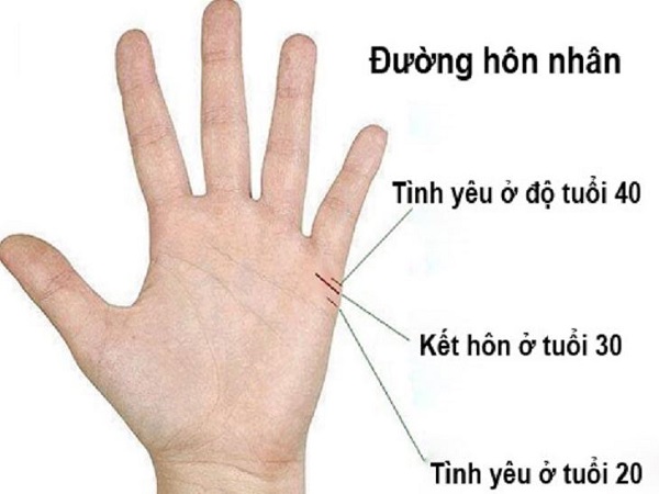 Bói tình yêu qua đường chỉ tay với đường Tình cảm phân nhánh song song