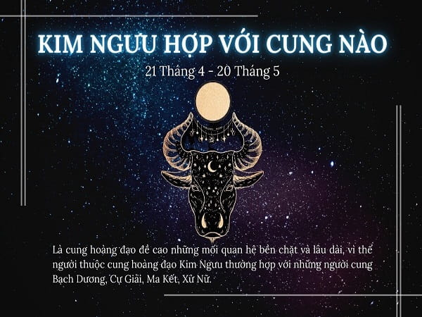 Song Ngư (19/02 - 20/03): Mối quan hệ bổ sung và cân bằng