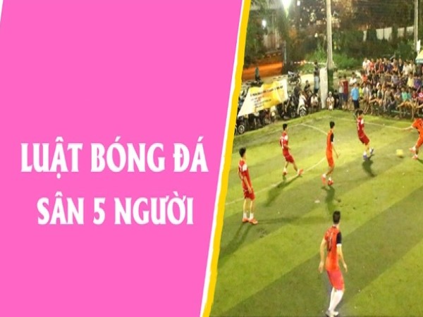 Tìm hiểu luật bóng đá mini 5 người mới nhất tiêu chuẩn