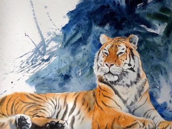 Đặc điểm người tuổi Dần