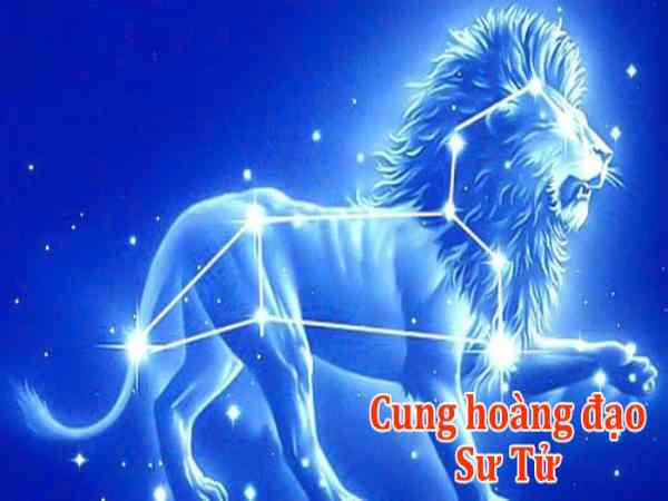 Tông màu chủ đạo của Sư Tử Tông màu chủ đạo của Sư Tử