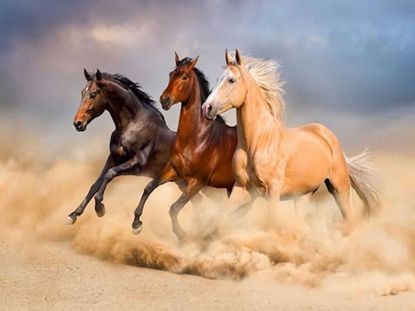 Ngọ khắc tuổi nào trong tình duyên?