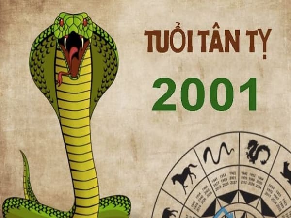 Sinh năm 2001 hợp tuổi gì trong làm ăn, sự nghiệp?