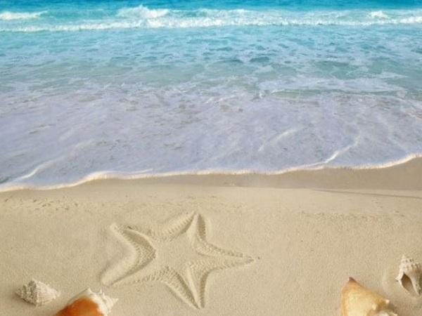 Giải mã chi tiết các giấc mơ cụ thể về cát